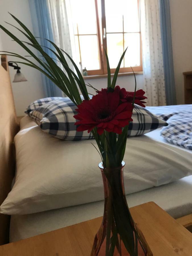 Ferienwohnung Gruber-Hansen Kaltenbach Exteriör bild